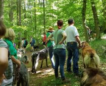 Juniwanderng 03.06.18 Bolanden